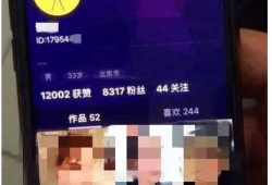 黄色短视频软件,内容、影响及应对策略